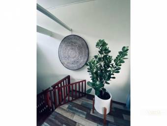 5 APARTMENTS FOR SALE IN CIUDAD COLÓN BROWN & PALENO