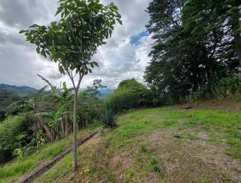 Se vende lote en San Miguel Desamparados 26-875