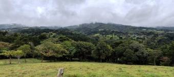 MLS-26-1131 LS VENTA LOTE SAN RAFAEL HEREDIA CONTACTENOS AL # 86127562
