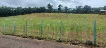 Venta de Lote en San Nicolás de Cartago. 26-1660 USO AGRICOLA Y RESIDENCIAL