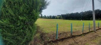 Venta de Lote en San Nicolás de Cartago. 26-1660 USO AGRICOLA Y RESIDENCIAL