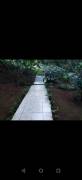MLS-26-1955 KQ VENTA FINCA RIO CUARTO GRECIA CONTACTENOS AL # 88987222