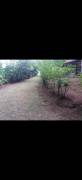 MLS-26-1955 KQ VENTA FINCA RIO CUARTO GRECIA CONTACTENOS AL # 88987222