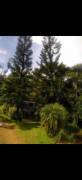 MLS-26-1955 LS VENTA FINCA RIO CUARTO GRECIA CONTACTENOS AL # 86127562