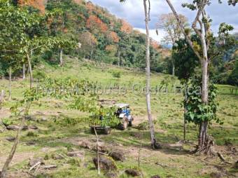 MLS-26-1444 LS VENTA FINCA MURCIA TURRIALBA CONTACTENOS AL # 86127562 