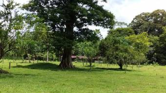 Se vende FINCA HORQUETAS