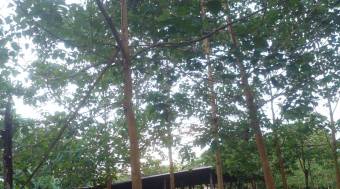 Se vende FINCA HORQUETAS