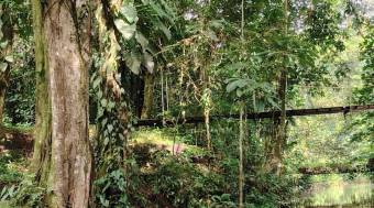 Se vende FINCA HORQUETAS