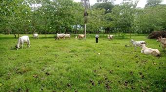 Se vende FINCA HORQUETAS