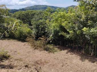 SE vende QUINTA en ESPARZA PUNTARENAS