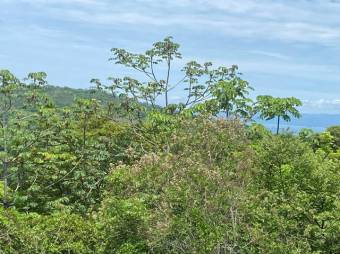 SE vende QUINTA en ESPARZA PUNTARENAS