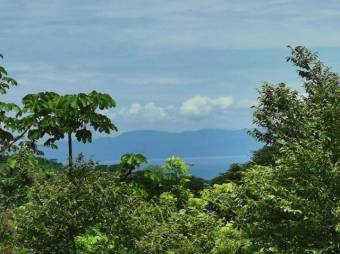 SE vende QUINTA en ESPARZA PUNTARENAS