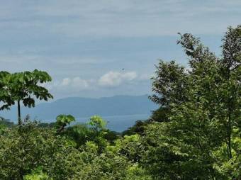 SE vende QUINTA en ESPARZA PUNTARENAS