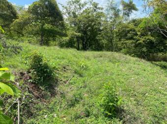 SE vende QUINTA en ESPARZA PUNTARENAS