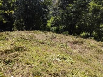 SE vende QUINTA en ESPARZA PUNTARENAS