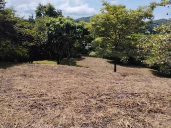 SE vende QUINTA en ESPARZA PUNTARENAS