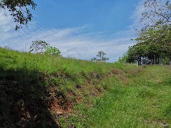 SE vende QUINTA en ESPARZA PUNTARENAS