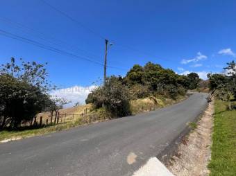 Finca en Venta en La Angelina de Cartago MLS 26-1532