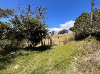Finca en Venta en La Angelina de Cartago MLS 26-1532