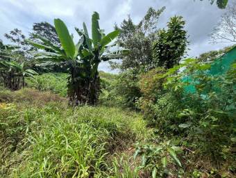 Venta de Quinta en Alvarado-Cervantes, Cartago. RAH 25-2018 PRECIO REBAJADO Venta de Quinta en Alvarado-Cervantes, Cartago. RAH 25-2018 PRECIO REBAJADO