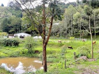 Venta de Finca con Hermosa Casa Campestre en Copey de Dota. RAH 26-74 PRECIO REBAJADO