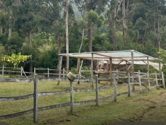 Venta de Finca con Hermosa Casa Campestre en Copey de Dota. RAH 26-74 PRECIO REBAJADO