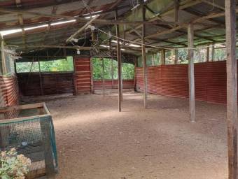 Venta de Finca en Cima de Dota, Dota-Copey, San José. RAH 26-212 PRECIO REBAJADO