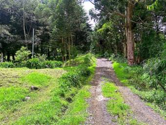 Venta de Finca en Cima de Dota, Dota-Copey, San José. RAH 26-212 PRECIO REBAJADO
