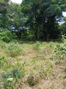 Venta de Lote en Carrillo-Sardinal, Guanacaste. RAH 26-48 Venta de Lote en Carrillo-Sardinal, Guanacaste. RAH 26-48