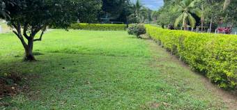 LOT FOR SALE, ALAJUELA, OROTINA CENTER - 9984707