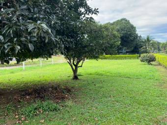 LOT FOR SALE, ALAJUELA, OROTINA CENTER - 9984707