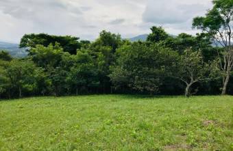 Venta de Hermoso Terreno en Ciudad Colón. RAH 26-1024 PRECIO NEGOCIABLE