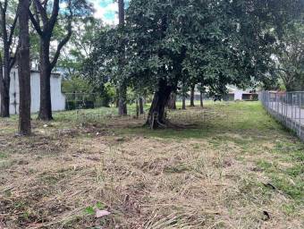 Venta de Lote Plano en Santa Ana. RAH 26-1688 USO DE SUELO AGRÍCOLA