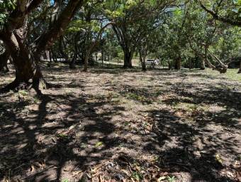 Venta de Lote Plano en Santa Ana-Piedades. RAH 26-1867