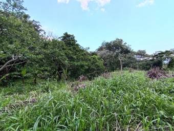 Venta de Lote en Mora-Colón. RAH 25-1801