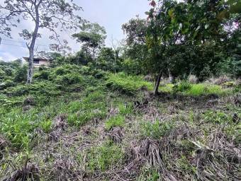 Venta de Lote en Mora-Colón. RAH 25-1801
