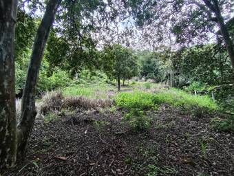 Venta de Lote en Mora-Colón. RAH 25-1801