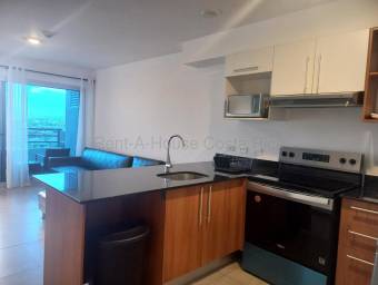 Se alquila apartamento en Montes de Oca San José 26-2019