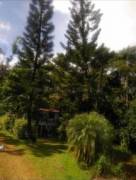 MLS-26-1955 LS VENTA FINCA GRECIA ALAJUELA CONTACTENOS AL # 86127562