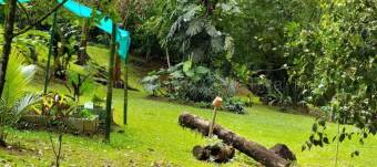 MLS-26-1955 LS VENTA FINCA GRECIA ALAJUELA CONTACTENOS AL # 86127562
