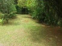 MLS-26-1955 LS VENTA FINCA GRECIA ALAJUELA CONTACTENOS AL # 86127562
