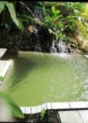 MLS-26-1955 LS VENTA FINCA GRECIA ALAJUELA CONTACTENOS AL # 86127562