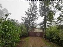 MLS-26-1955 LS VENTA FINCA GRECIA ALAJUELA CONTACTENOS AL # 86127562