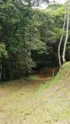 MLS-26-1955 LS VENTA FINCA GRECIA ALAJUELA CONTACTENOS AL # 86127562
