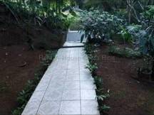 MLS-26-1955 LS VENTA FINCA GRECIA ALAJUELA CONTACTENOS AL # 86127562