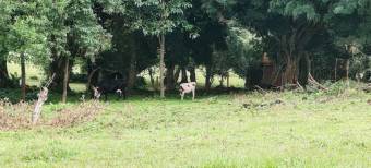 Venta de Lote en San Rafael de Heredia. RAH 26-1131 Venta de Lote en San Rafael de Heredia. RAH 26-1131