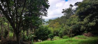 Farm with view, Concepcion de San Isidro de Heredia 5.5 acres Farm with view, Concepcion de San Isidro de Heredia 5.5 acres