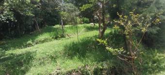 Farm with view, Concepcion de San Isidro de Heredia 5.5 acres Farm with view, Concepcion de San Isidro de Heredia 5.5 acres