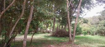 Farm with view, Concepcion de San Isidro de Heredia 5.5 acres Farm with view, Concepcion de San Isidro de Heredia 5.5 acres