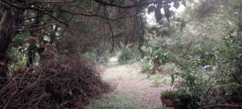 Farm with view, Concepcion de San Isidro de Heredia 5.5 acres Farm with view, Concepcion de San Isidro de Heredia 5.5 acres